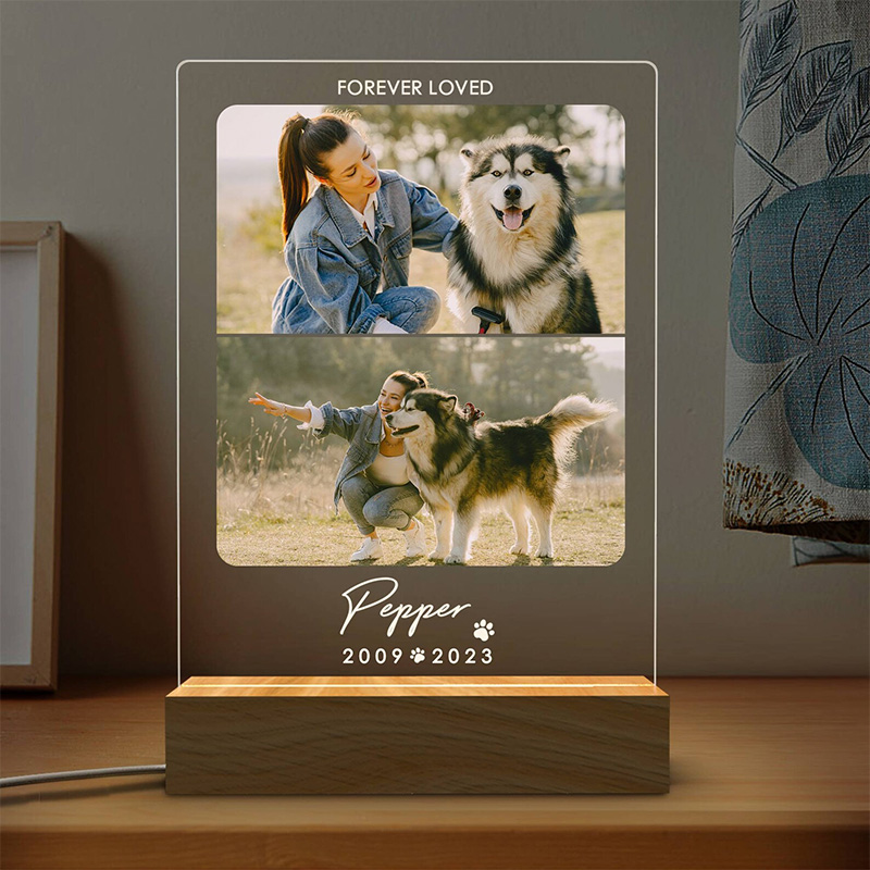 Lembrança de luz Led com foto animal de estimação YKTG20
